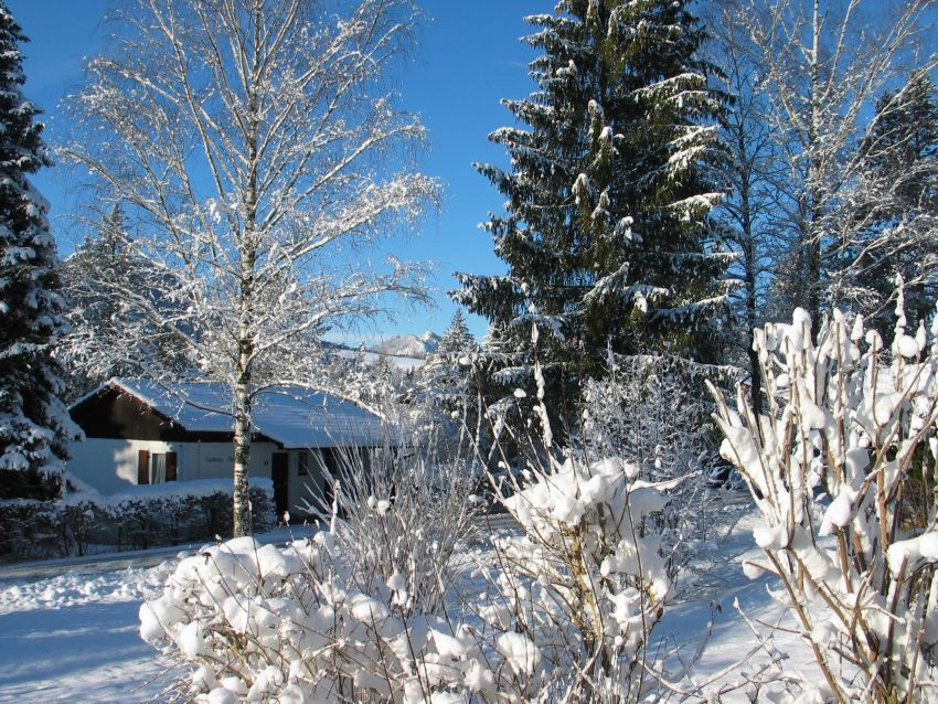 Winterblick aus dem Wohnz: