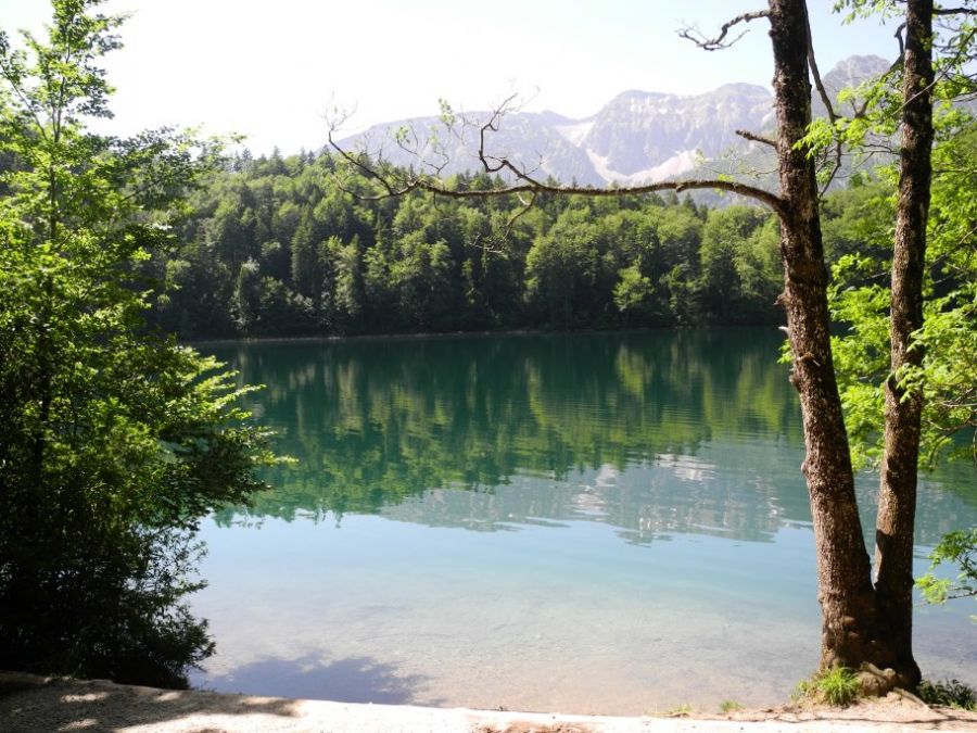 :Der Alatsee, einer der schönsten Seen des Allgäus, nur wenige Minuten entfernt.